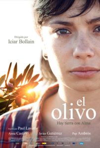 olive tree poster 2